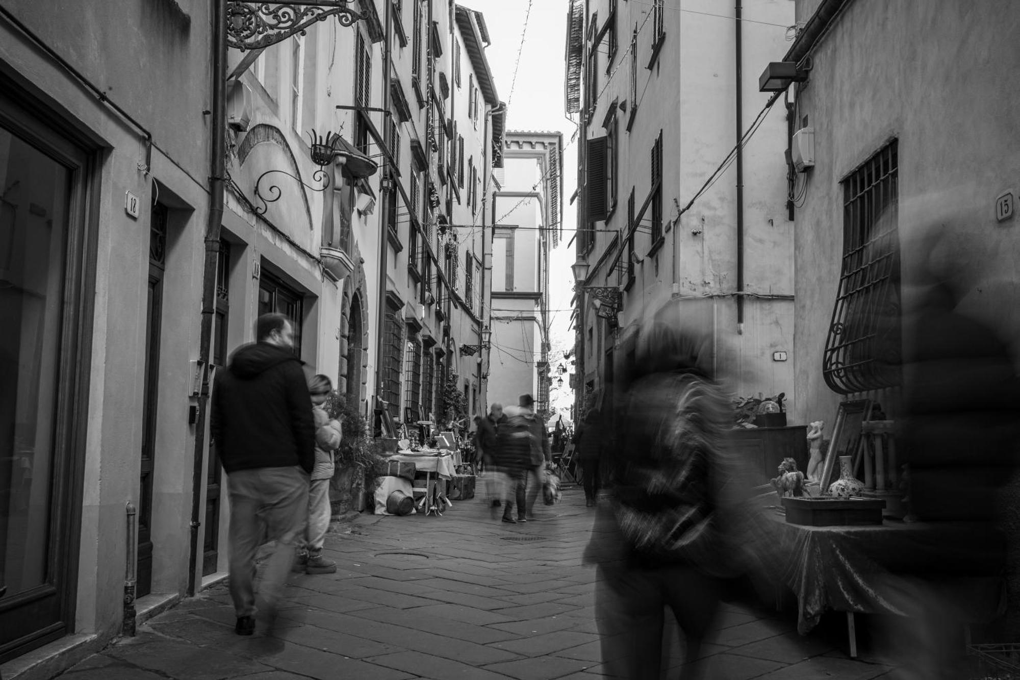 Nido Sui Tetti Di Lucca, Romantico E Centralissimo Exterior foto